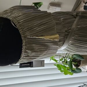 Long silver pleated dress